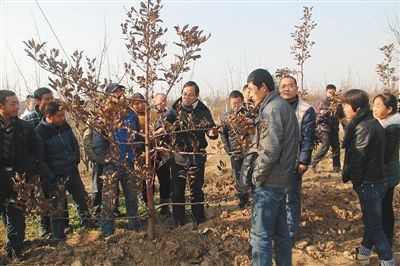 陕西富平20名农民被大学录取 平均年龄近38岁 www.91yuer.com